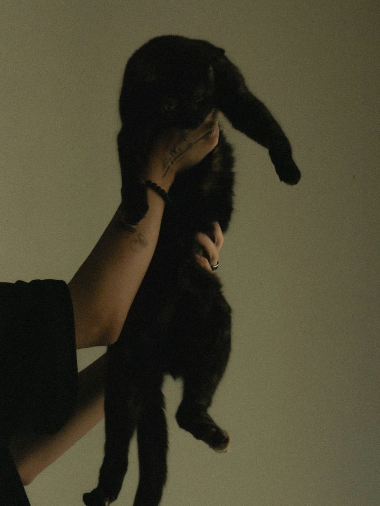person-holding-a-black-cat-against-a-plain-background-leiah2s0o3o